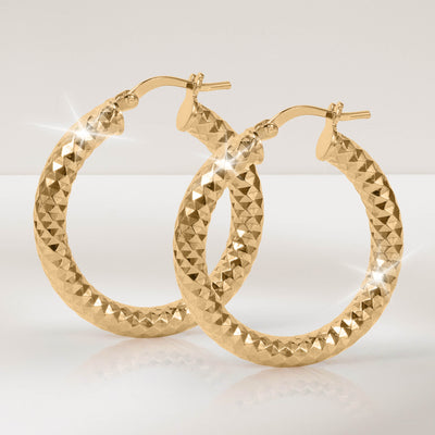 Daniel Steiger Arezzo Creole Hoop Earrings Collection