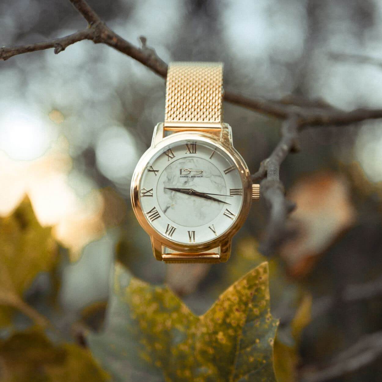 Daniel Steiger Marble Mesh Warm Gold Watch